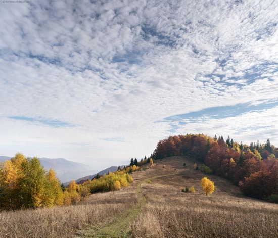 Golden autumn, Sokilsky Ridge, the Carpathians, Ukraine, photo 17