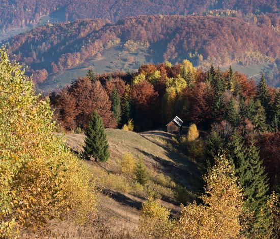 Golden autumn, Sokilsky Ridge, the Carpathians, Ukraine, photo 19