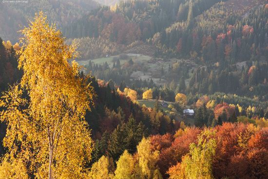 Golden autumn, Sokilsky Ridge, the Carpathians, Ukraine, photo 2