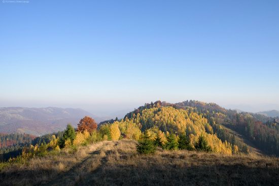 Golden autumn, Sokilsky Ridge, the Carpathians, Ukraine, photo 21