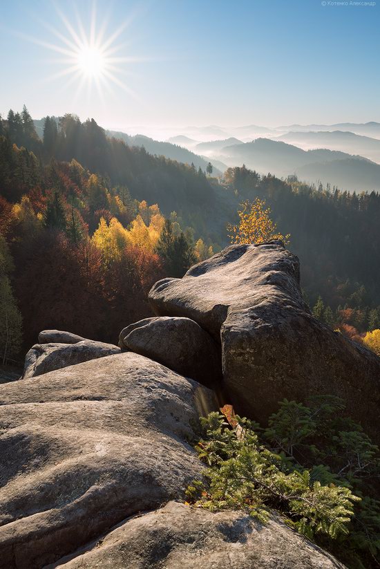 Golden autumn, Sokilsky Ridge, the Carpathians, Ukraine, photo 23