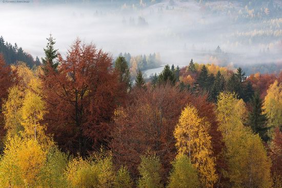 Golden autumn, Sokilsky Ridge, the Carpathians, Ukraine, photo 3