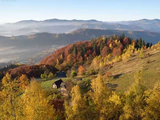 Golden autumn, Sokilsky Ridge, the Carpathians, Ukraine, photo 6