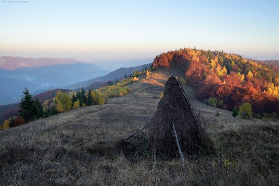 Golden autumn, Sokilsky Ridge, the Carpathians, Ukraine, photo 8