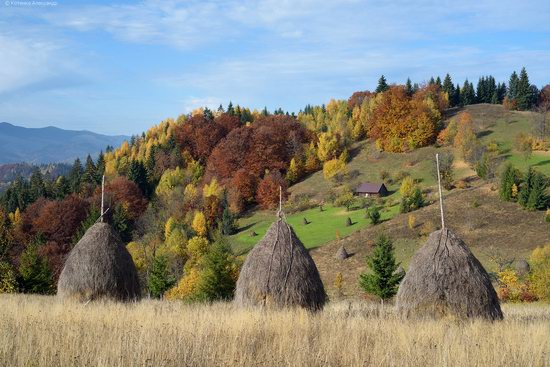 Golden Autumn on Sokilsky Ridge in the Carpathians · Ukraine travel blog