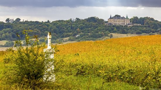 Pidhirtsi Castle, Lviv region, Ukraine, photo 16