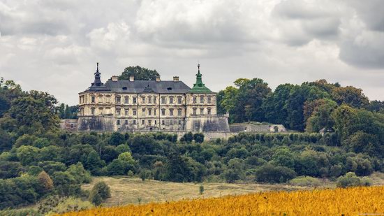 Pidhirtsi Castle, Lviv region, Ukraine, photo 17