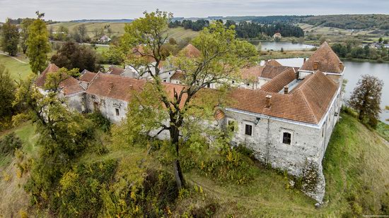 Svirzh Castle, Lviv oblast,  Ukraine, photo 12