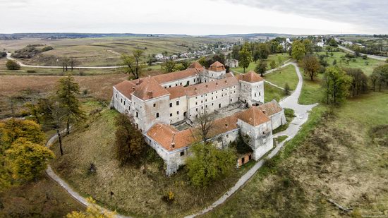 Svirzh Castle, Lviv oblast,  Ukraine, photo 4