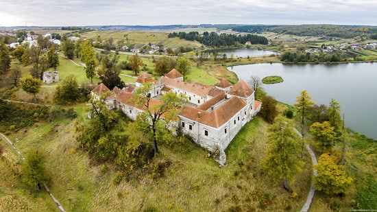 Svirzh Castle, Lviv oblast,  Ukraine, photo 6