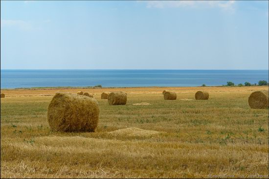 Hot summer day near Berdyansk, Ukraine, photo 11