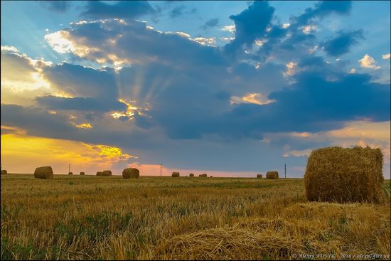 Hot summer day near Berdyansk, Ukraine, photo 14