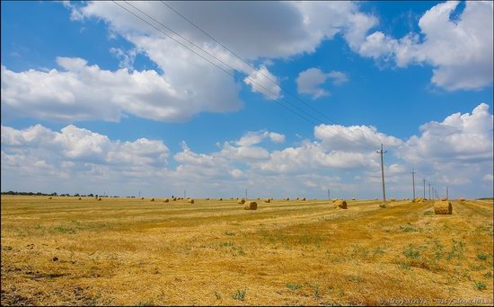 Hot summer day near Berdyansk, Ukraine, photo 3