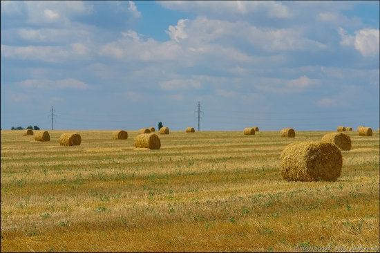 Hot summer day near Berdyansk, Ukraine, photo 4