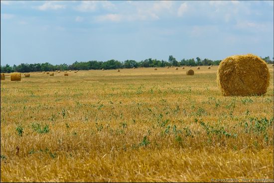 Hot summer day near Berdyansk, Ukraine, photo 6