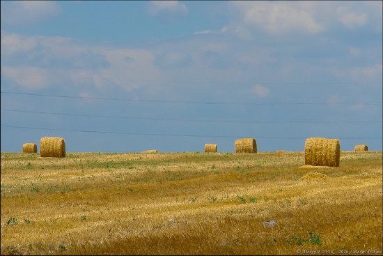 Hot summer day near Berdyansk, Ukraine, photo 7