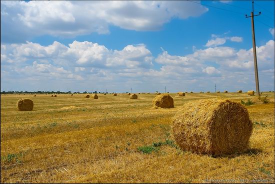 Hot summer day near Berdyansk, Ukraine, photo 8