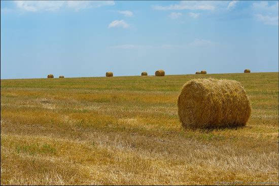 Hot summer day near Berdyansk, Ukraine, photo 9