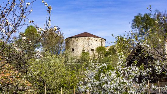 Castle in Budaniv, Ternopil region, Ukraine, photo 14