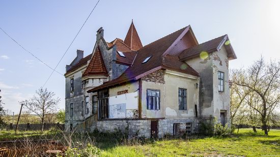 Timelman's Manor-Palace in Lychkivtsi, Ternopil region, Ukraine, photo 11