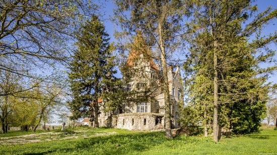 Timelman's Manor-Palace in Lychkivtsi, Ternopil region, Ukraine, photo 6