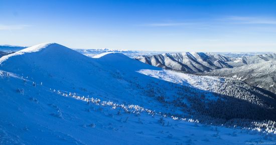 Winter on Pishkonya Range, Zakarpattia region, Ukraine, photo 1