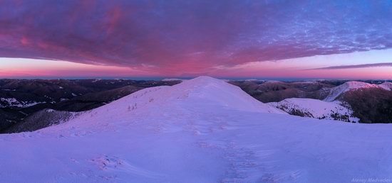 Winter on Pishkonya Range, Zakarpattia region, Ukraine, photo 10