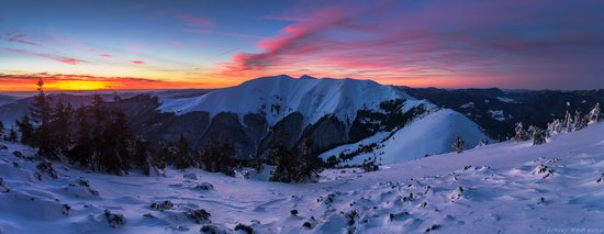 Winter on Pishkonya Range, Zakarpattia region, Ukraine, photo 20