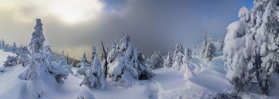 Winter on Pishkonya Range, Zakarpattia region, Ukraine, photo 3