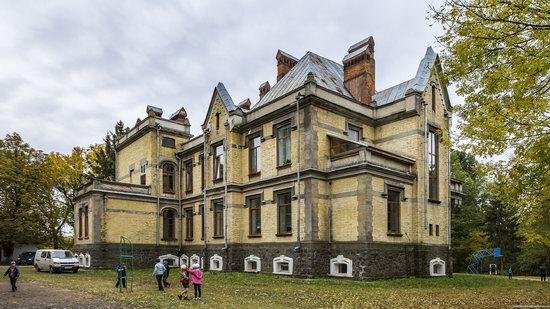 Chikhachev Palace in Mytky, Vinnytsia region, Ukraine, photo 6