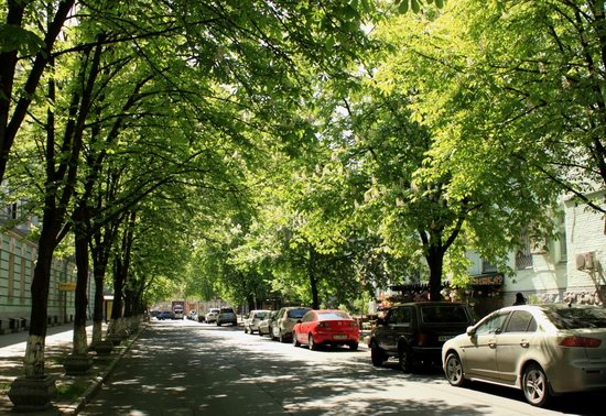 Early May in Kyiv, Ukraine, photo 13