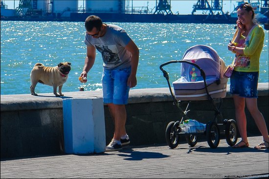 Early summer in Berdyansk, Ukraine, photo 8