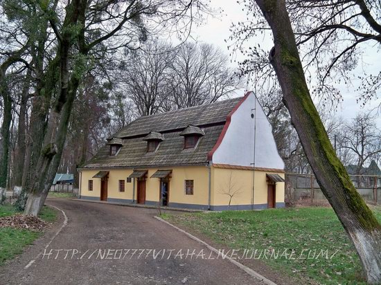 Vynohradiv town, Zakarpattia region, Ukraine, photo 7