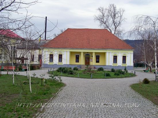 Vynohradiv town, Zakarpattia region, Ukraine, photo 8