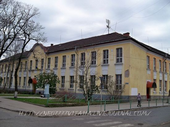 Vynohradiv town, Zakarpattia region, Ukraine, photo 9