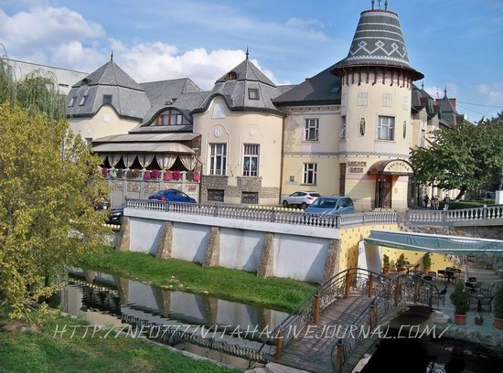 Berehove - the center of Hungarian culture in the Zakarpattia region, Ukraine, photo 1