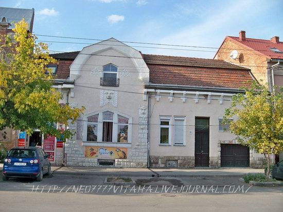 Berehove - the center of Hungarian culture in the Zakarpattia region, Ukraine, photo 12