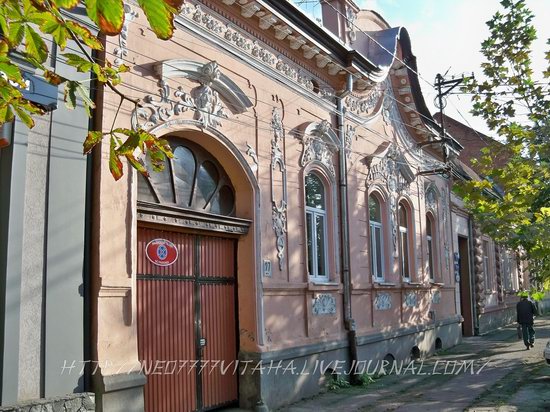 Berehove - the center of Hungarian culture in the Zakarpattia region, Ukraine, photo 13