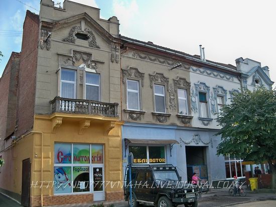 Berehove - the center of Hungarian culture in the Zakarpattia region, Ukraine, photo 14