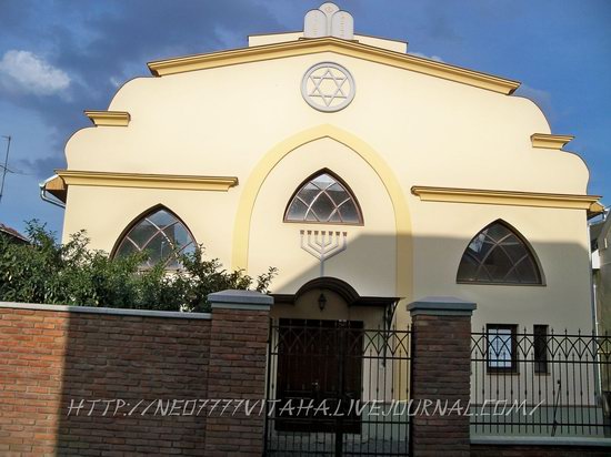 Berehove - the center of Hungarian culture in the Zakarpattia region, Ukraine, photo 15