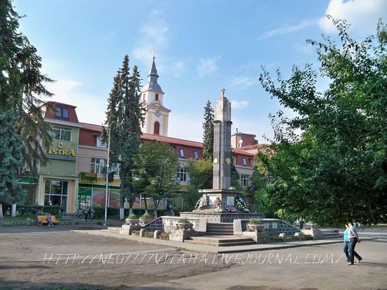 Berehove - the center of Hungarian culture in the Zakarpattia region, Ukraine, photo 17