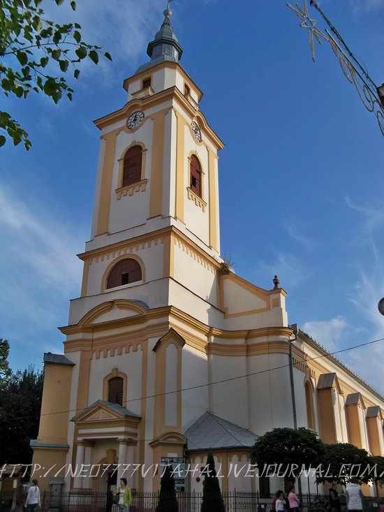 Berehove - the center of Hungarian culture in the Zakarpattia region, Ukraine, photo 19