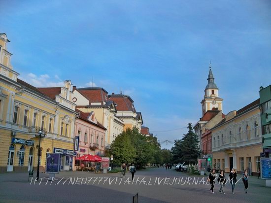 Berehove - the center of Hungarian culture in the Zakarpattia region, Ukraine, photo 25