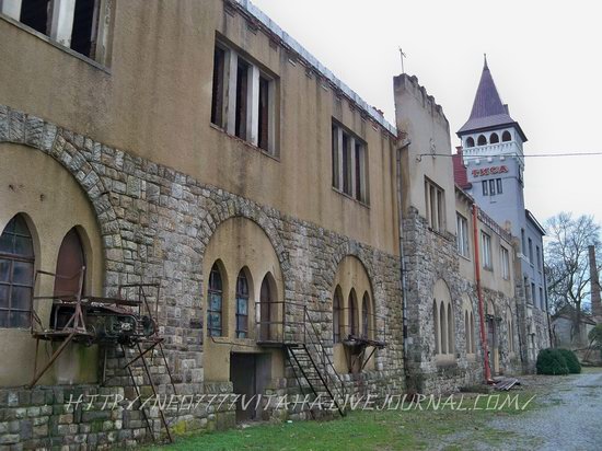 Berehove - the center of Hungarian culture in the Zakarpattia region, Ukraine, photo 27