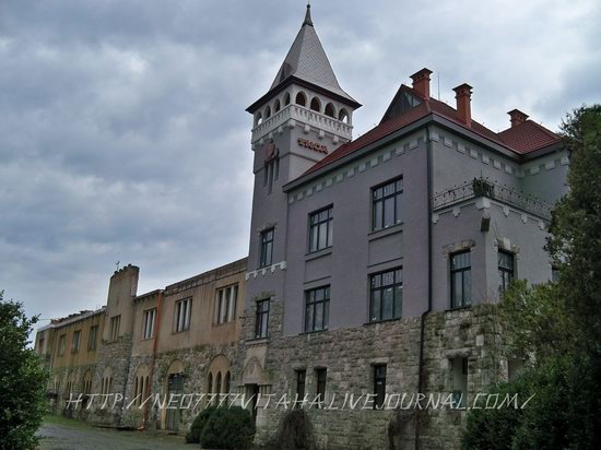 Berehove - the center of Hungarian culture in the Zakarpattia region, Ukraine, photo 28