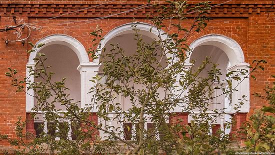 Palace of Kolonn-Chesnovsky in Bozhykivtsi, Ukraine, photo 10