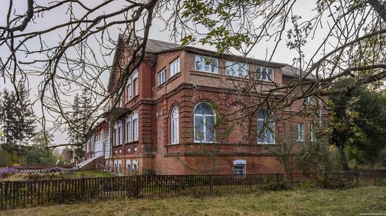 Palace of Kolonn-Chesnovsky in Bozhykivtsi, Ukraine, photo 3