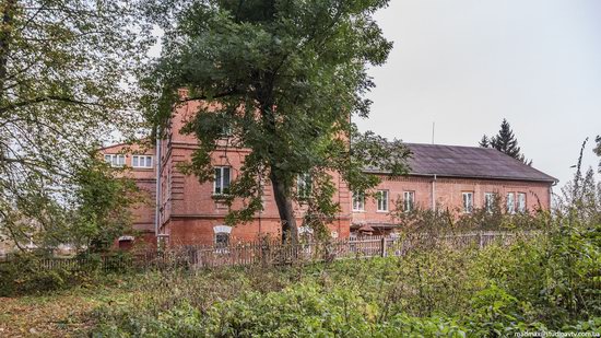 Palace of Kolonn-Chesnovsky in Bozhykivtsi, Ukraine, photo 6