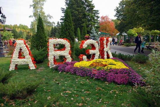 Ball of Chrysanthemums, Feldman Ecopark, Kharkiv, Ukraine, photo 13