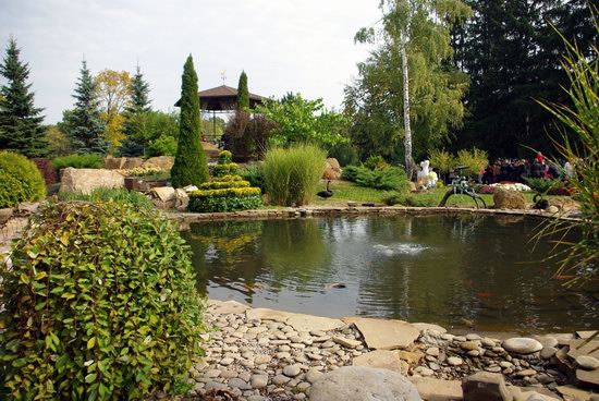 Ball of Chrysanthemums, Feldman Ecopark, Kharkiv, Ukraine, photo 14